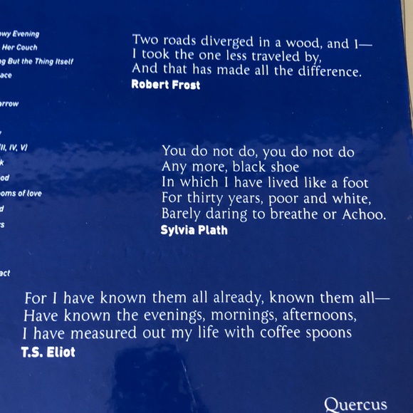 💿2 for $15💿 The Great Modern Poets - The Best Poetry of Our Times book and CD - Picture 7 of 8